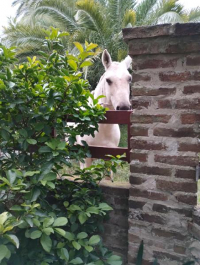 Chacra Don Canale
